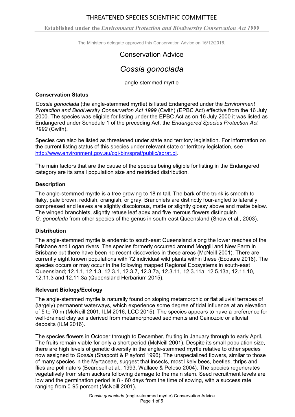 Conservation Advice Gossia Gonoclada Angle-Stemmed Myrtle