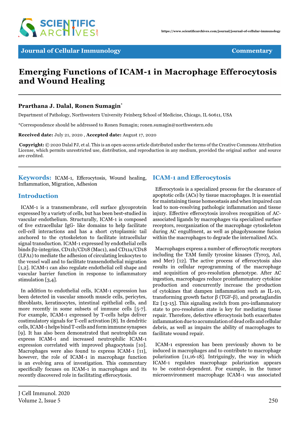 Emerging Functions of ICAM-1 in Macrophage Efferocytosis and Wound Healing