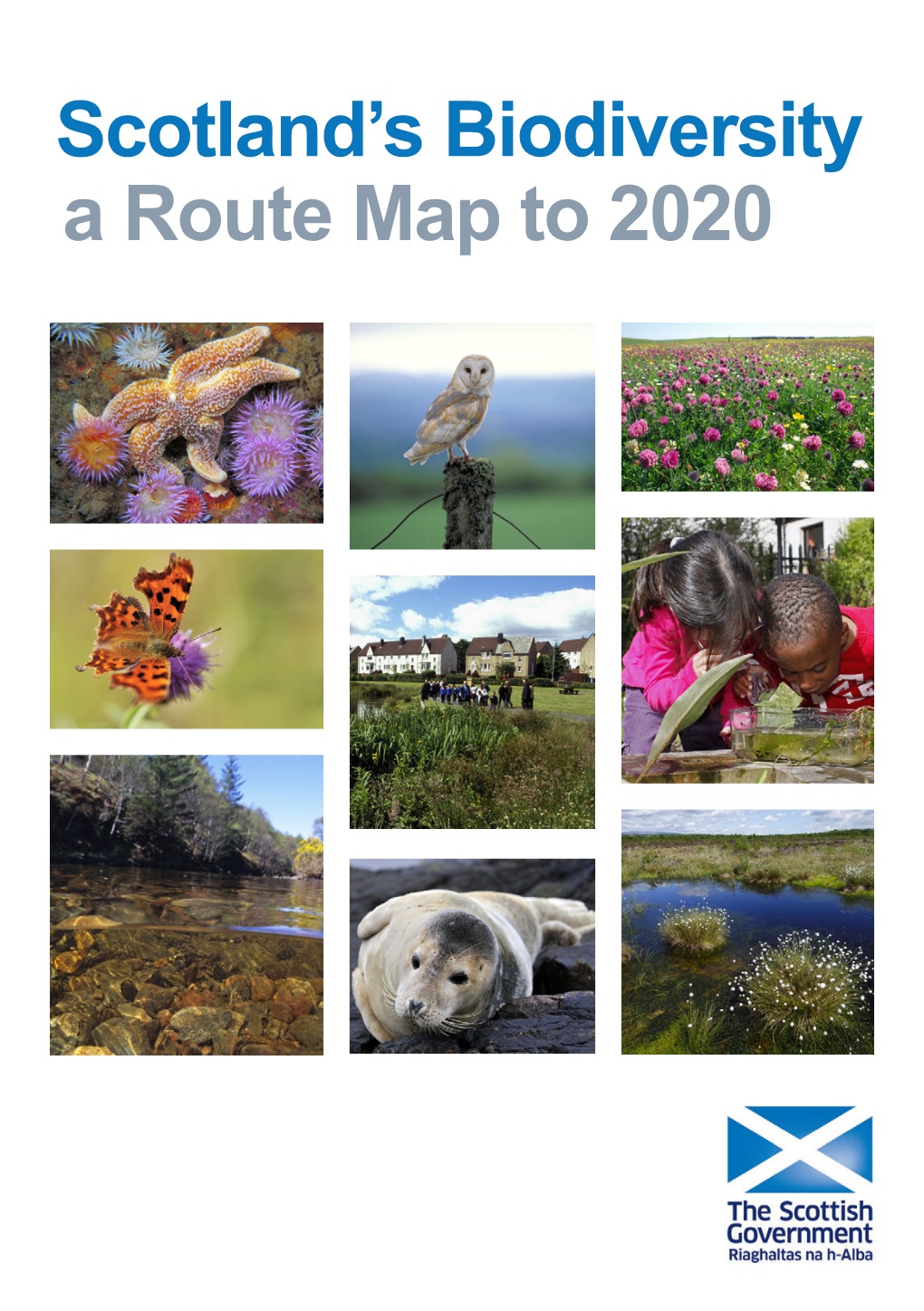 Scotland's Biodiversity: a Route Map to 2020