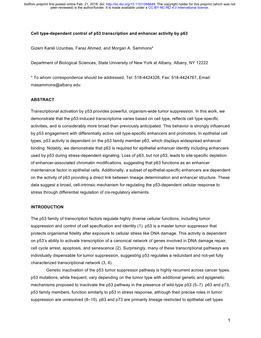 Cell Type-Dependent Control of P53 Transcription and Enhancer Activity by P63