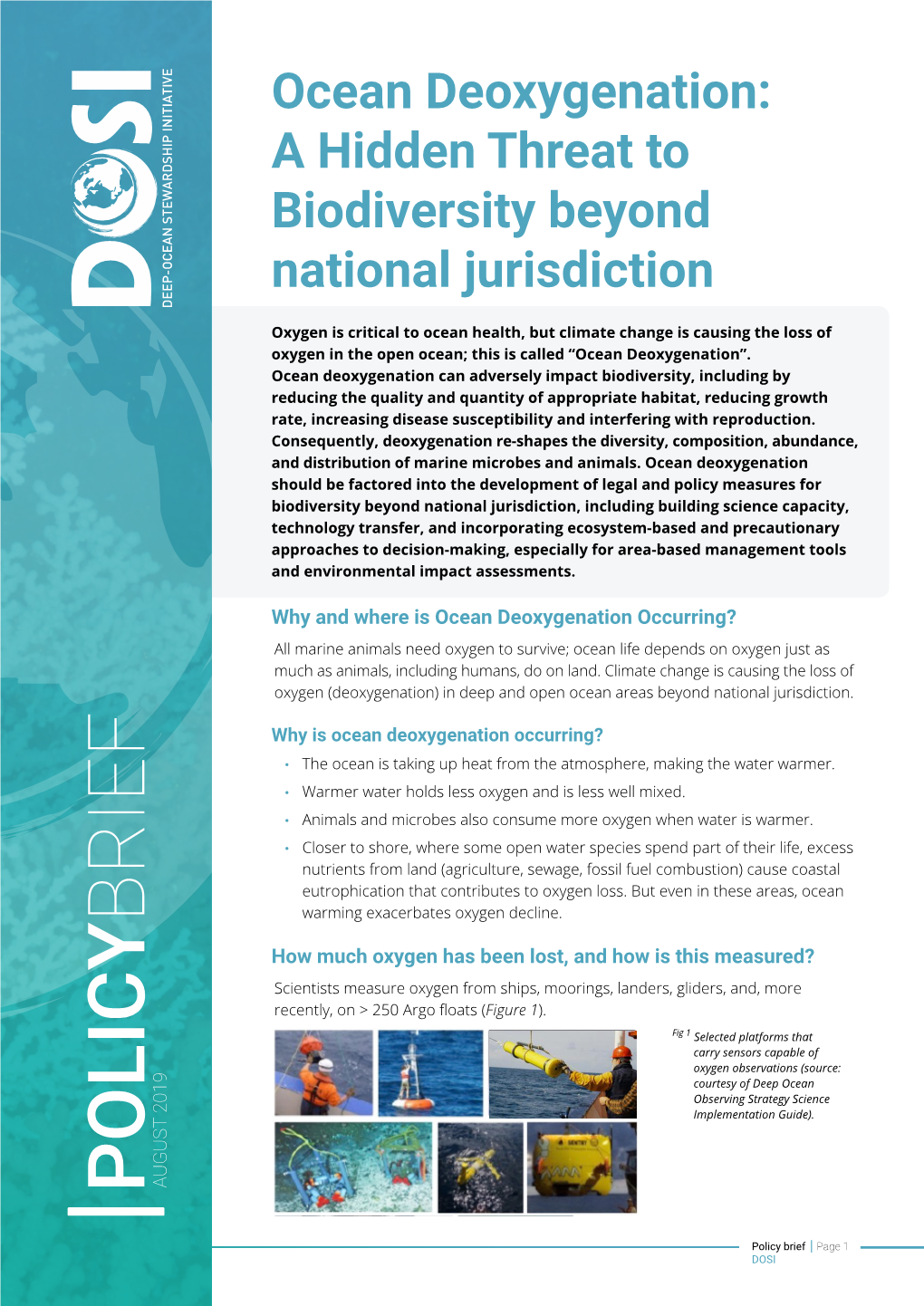 Ocean Deoxygenation: a Hidden Threat to Biodiversity Beyond National Jurisdiction