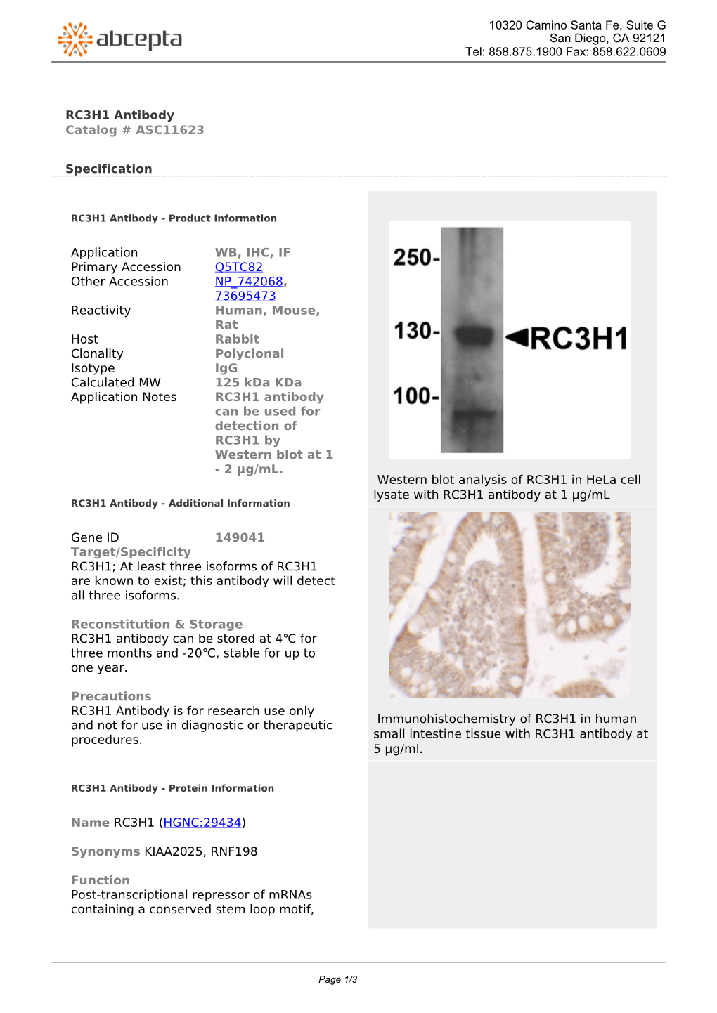 RC3H1 Antibody Catalog # ASC11623