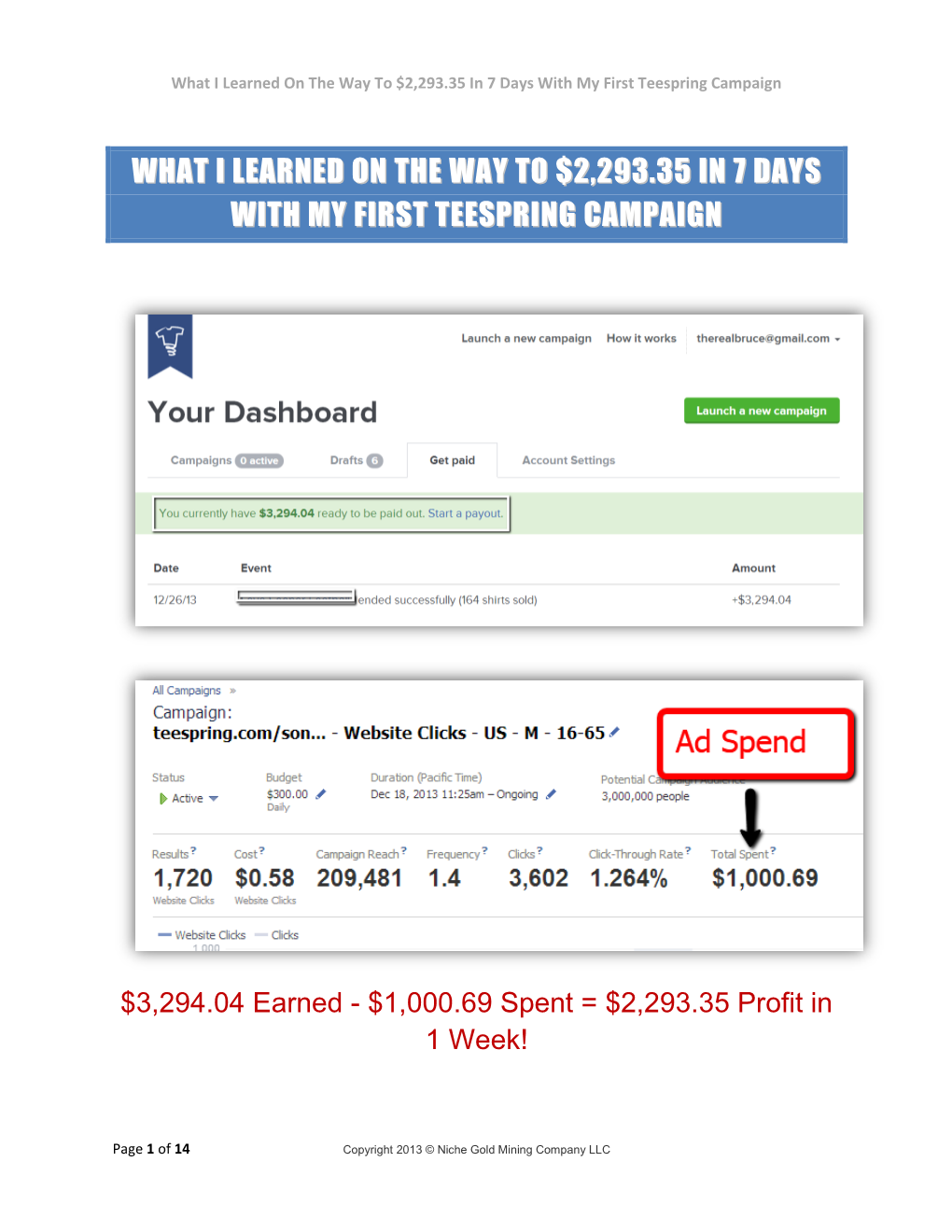 What I Learned on the Way to $2,293.35 in 7 Days with My First Teespring Campaign