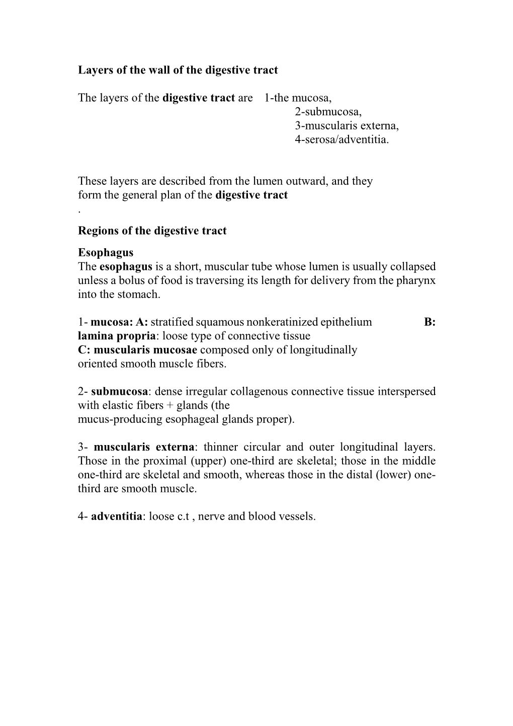 Layers of the Wall of the Digestive Tract
