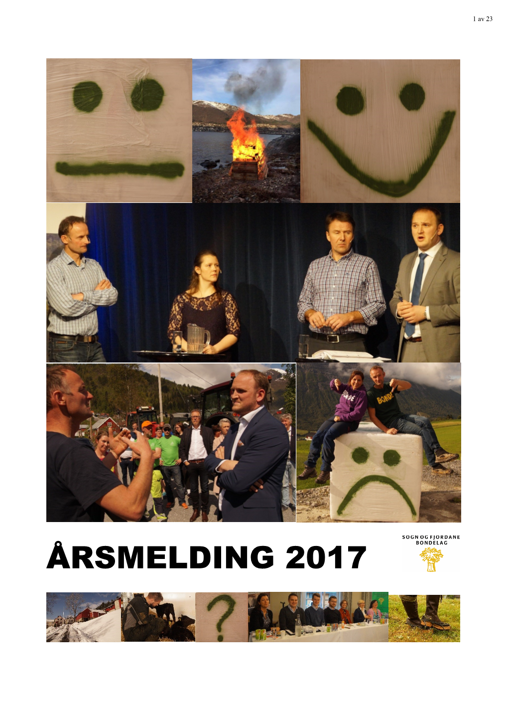 Årsmelding 2017