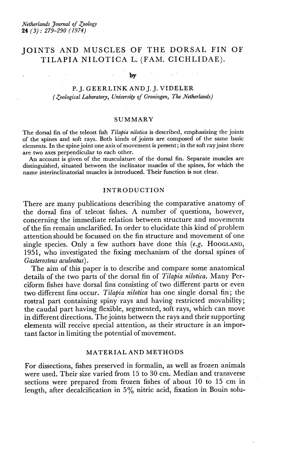 JOINTS and MUSCLES of the DORSAL FIN of TILAPIA NILOTICA L. (FAM. CICHLIDAE). by P. J. GEERLINK and J. J. VIDELER (Zoological La