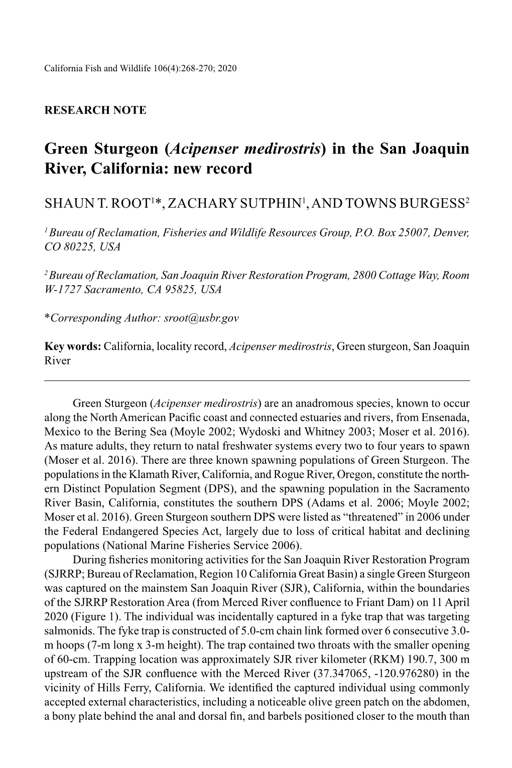 Green Sturgeon (Acipenser Medirostris) in the San Joaquin River, California: New Record