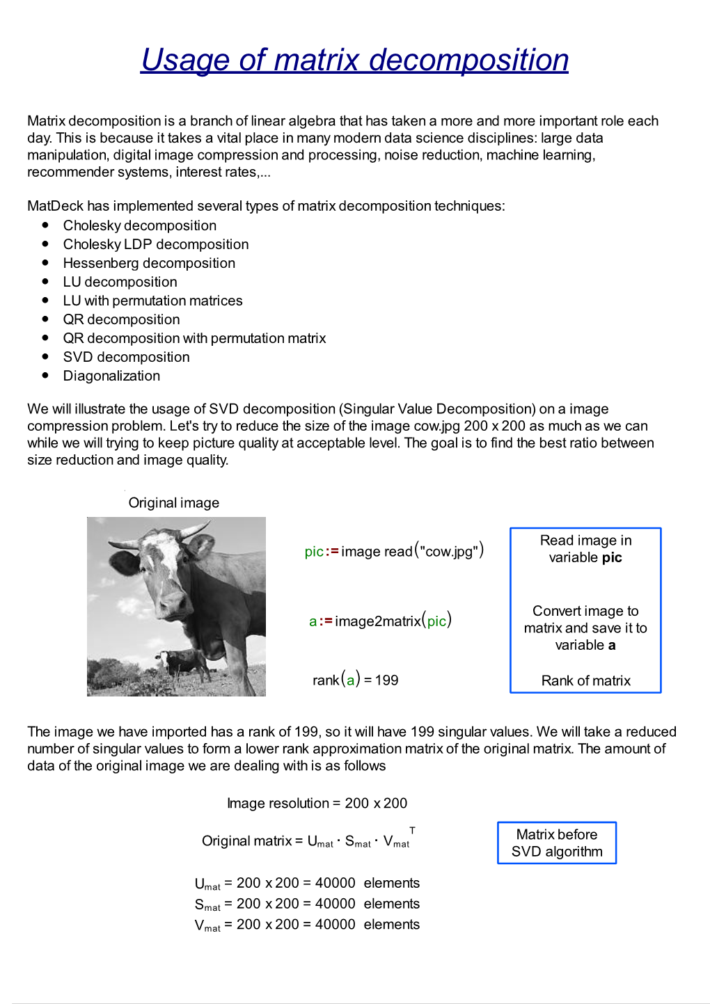 Usage of Matrix Decomposition