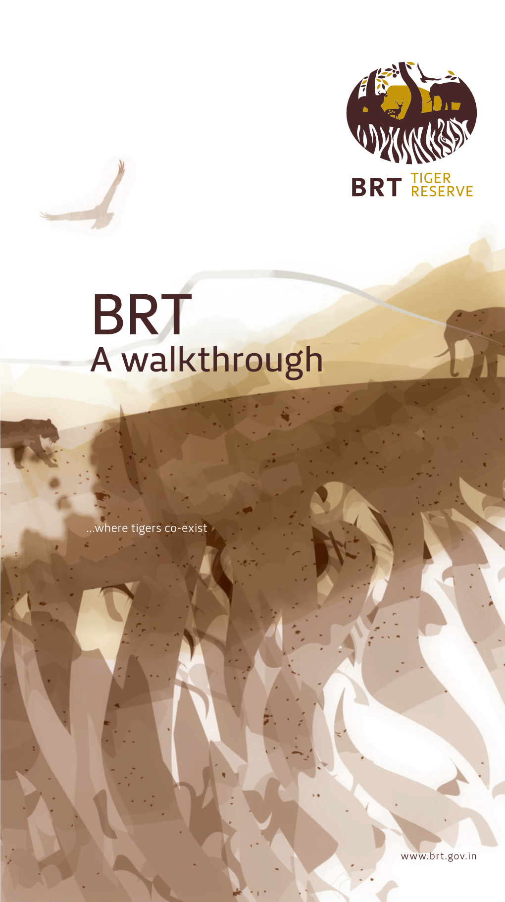 BRT a Walkthrough
