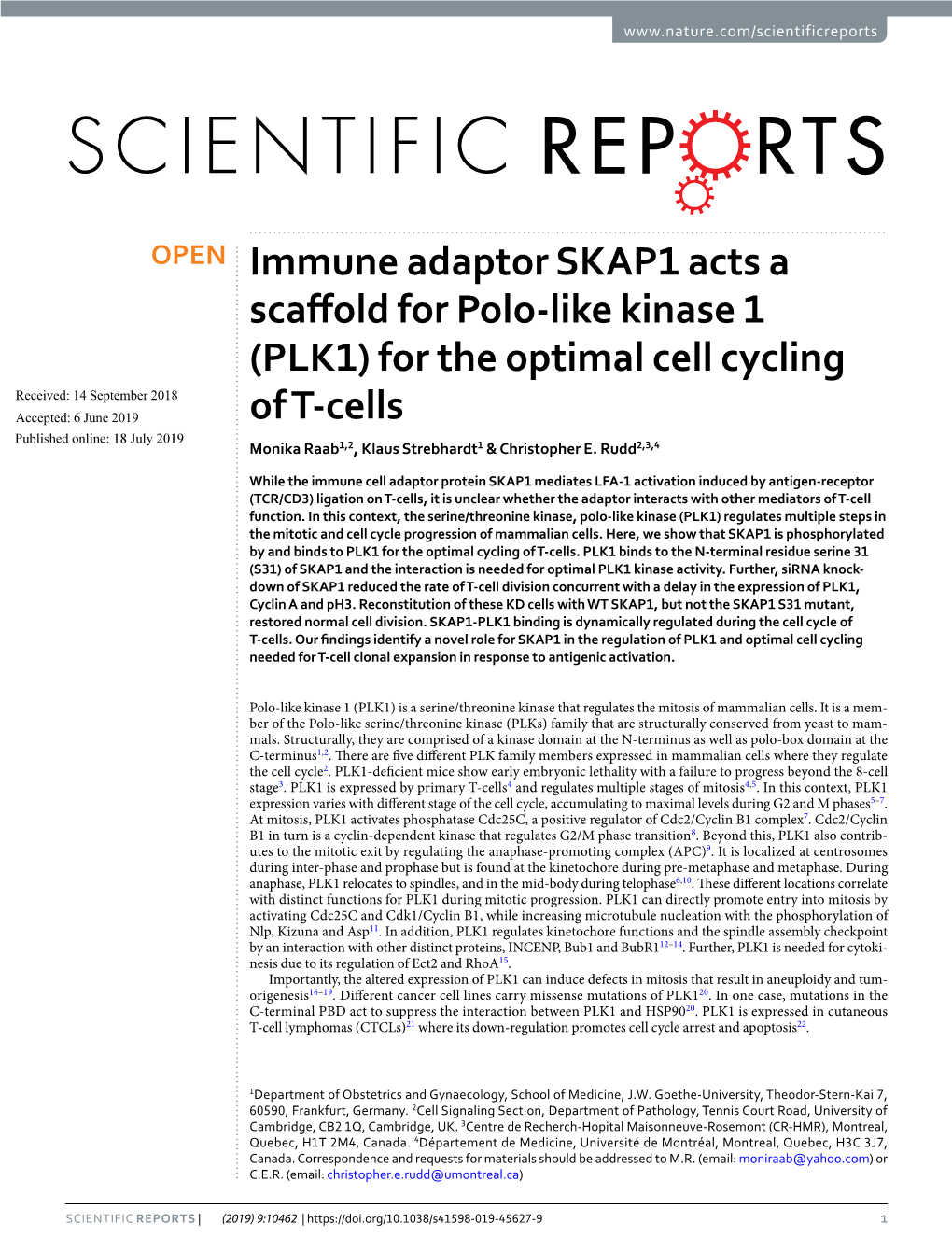 Immune Adaptor SKAP1 Acts a Scaffold for Polo-Like Kinase 1 (PLK1)