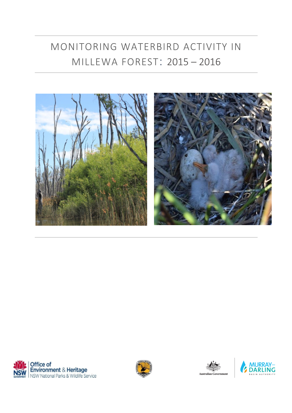 Monitoring Waterbird Activity in Millewa Forest: 2015 – 2016