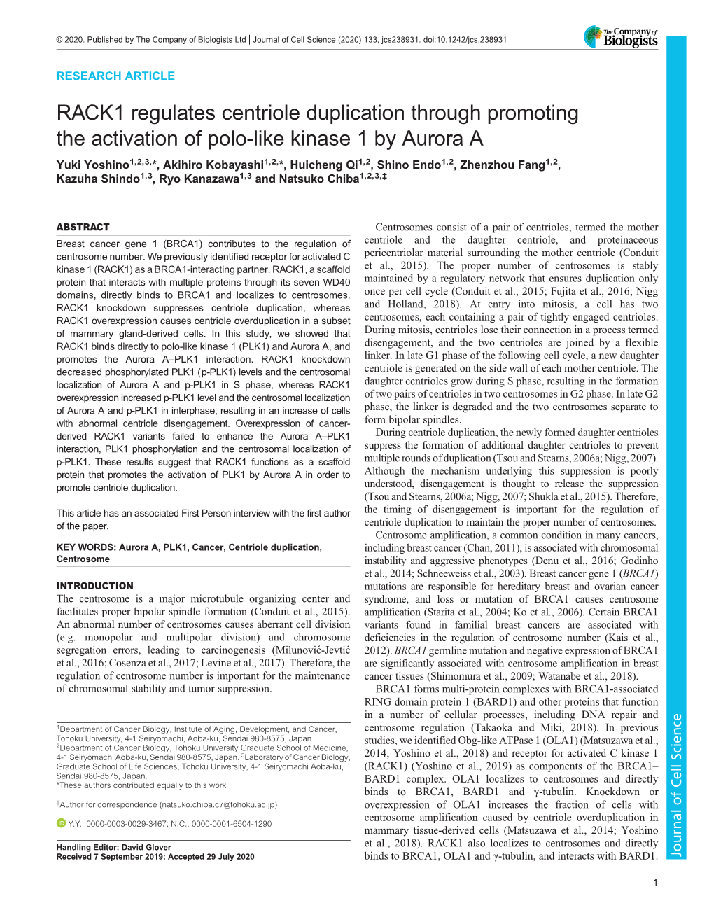 RACK1 Regulates Centriole Duplication Through Promoting the Activation Of