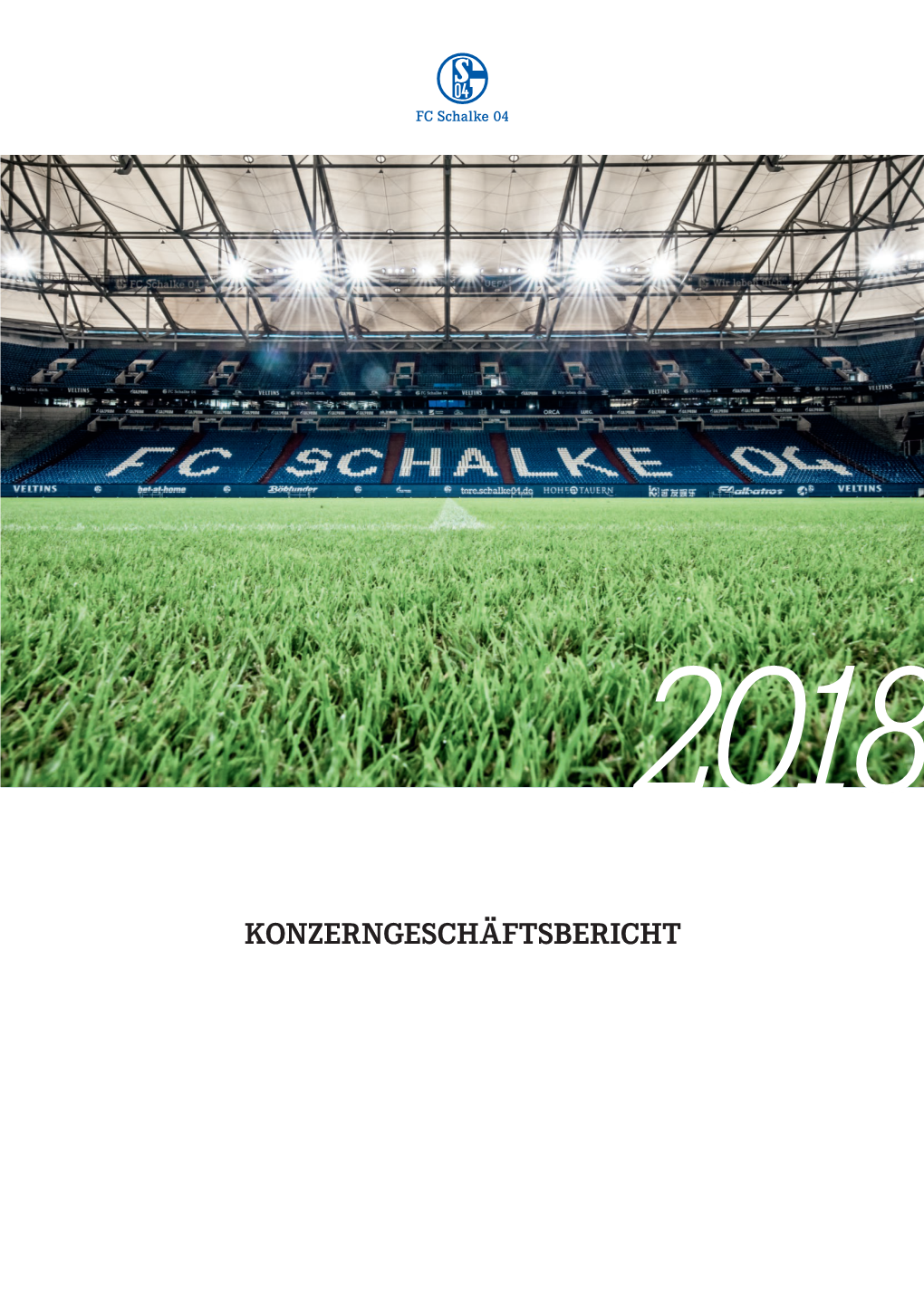 Konzernbericht 2018