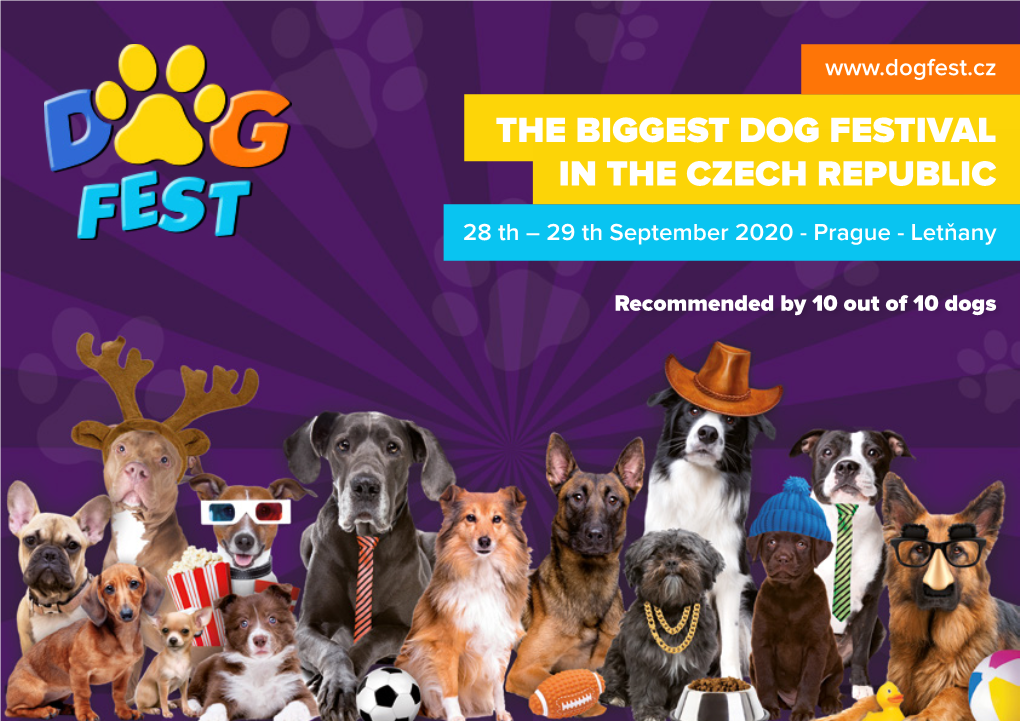 The Biggest Dog Festival in the Czech Republic