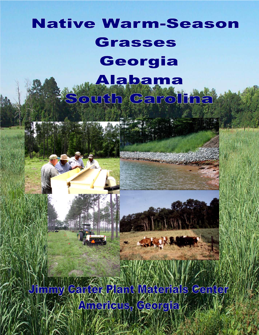 Native Grasses for GA, Al & SC Revision