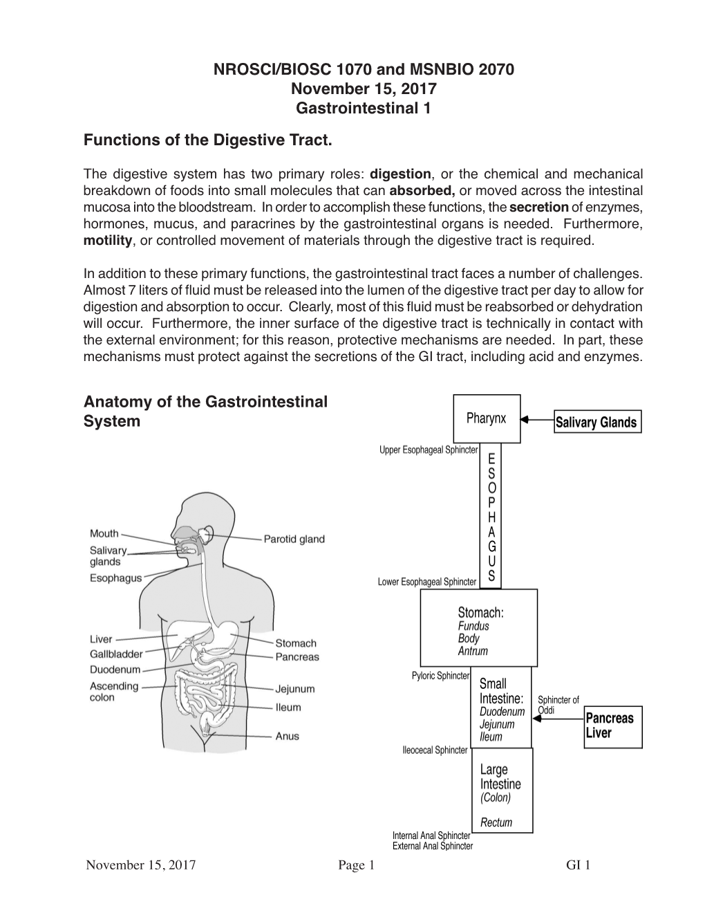 NROSCI/BIOSC 1070 and MSNBIO 2070 November 15, 2017 Gastrointestinal 1 Functions of the Digestive Tract