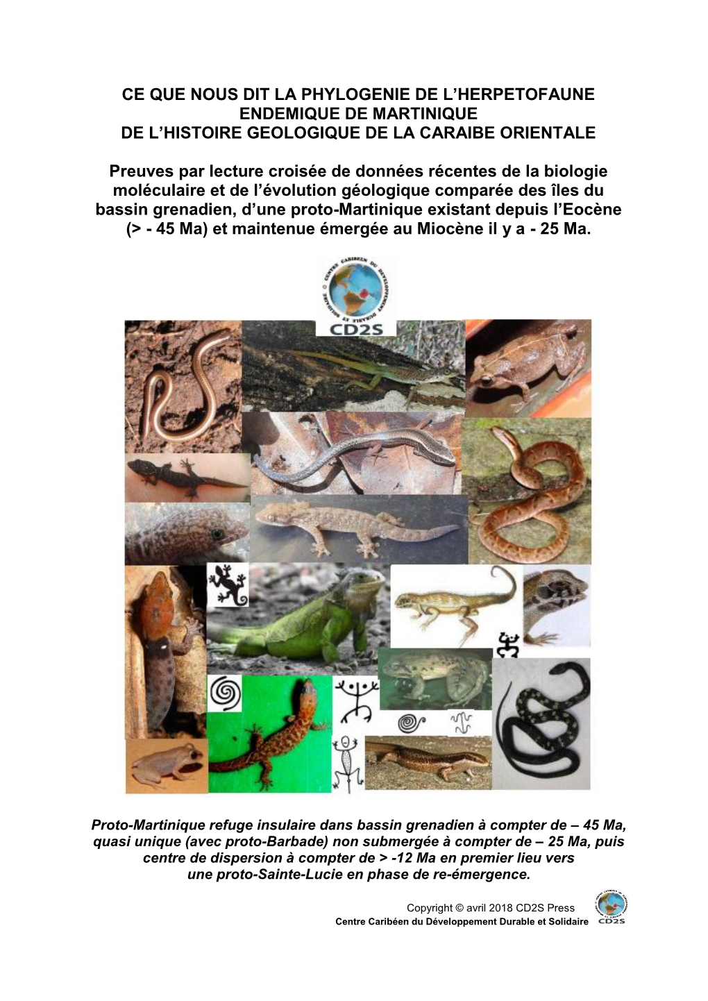 Ce Que Nous Dit La Phylogenie De L'herpetofaune