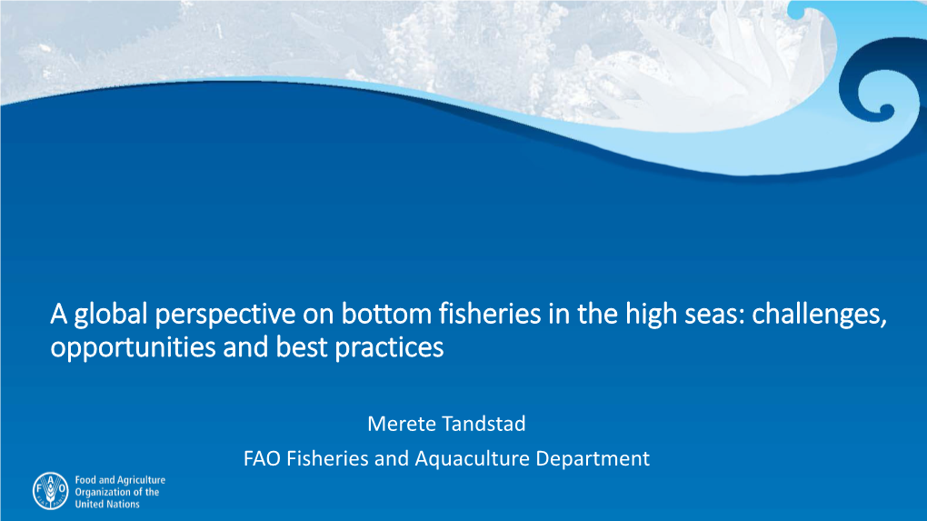 “The Way Forward in Addressing the Impacts of Bottom Fishing on Vmes