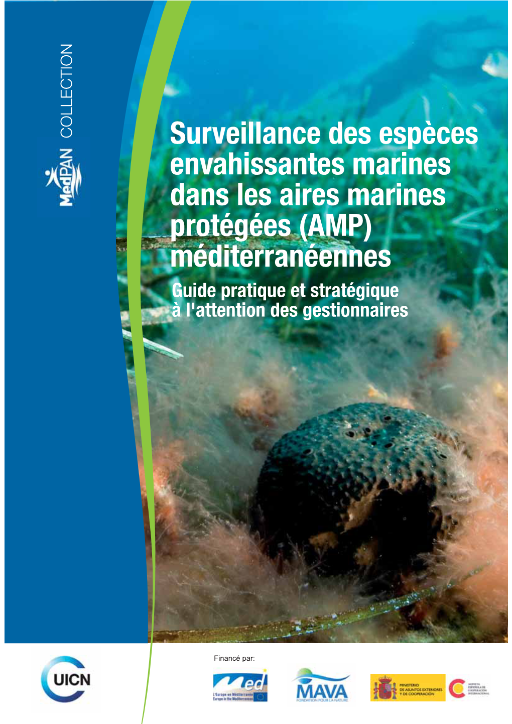 Surveillance Des Espèces Envahissantes Marines Dans Les Aires Marines Protégées (AMP) Méditerranéennes Guide Pratique Et Stratégique À L'attention Des Gestionnaires