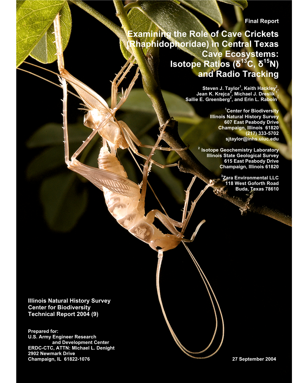 Examining the Role of Cave Crickets (Rhaphidophoridae) in Central Texas Cave Ecosystems: Isotope Ratios (Δ13c, Δ15n) and Radio Tracking