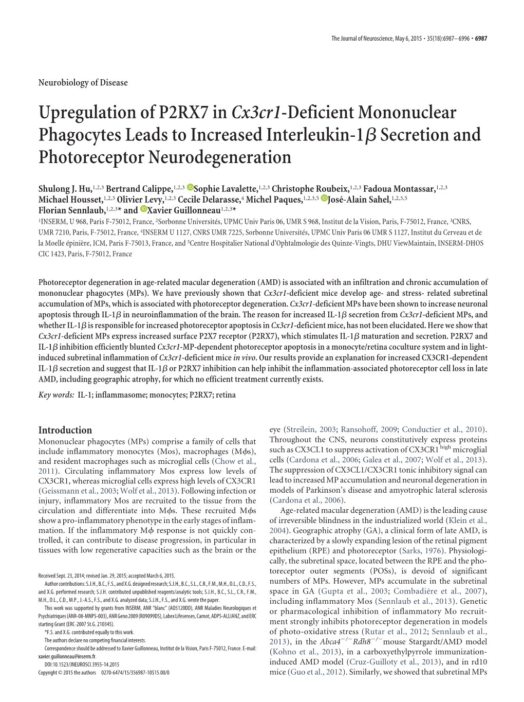 Upregulation of P2RX7 Incx3cr1-Deficient Mononuclear