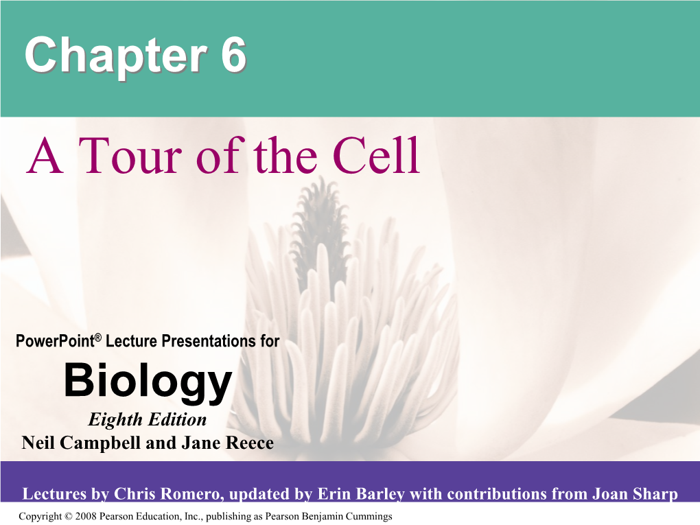 Chapter 6 a Tour of the Cell