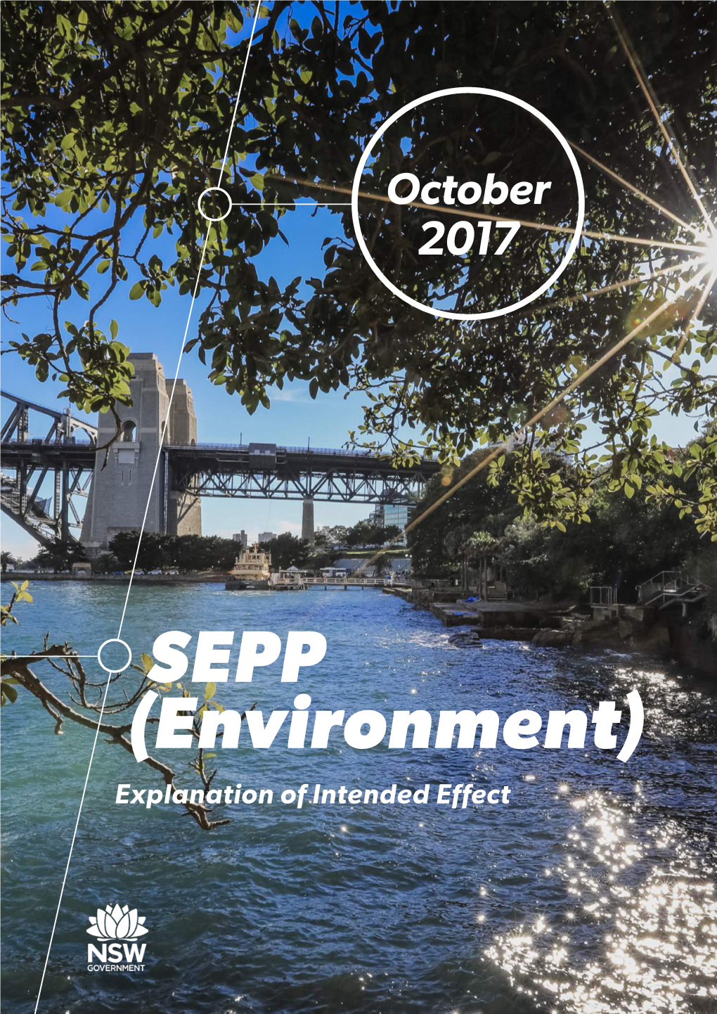 SEPP Environment Explanation of Intended Effect