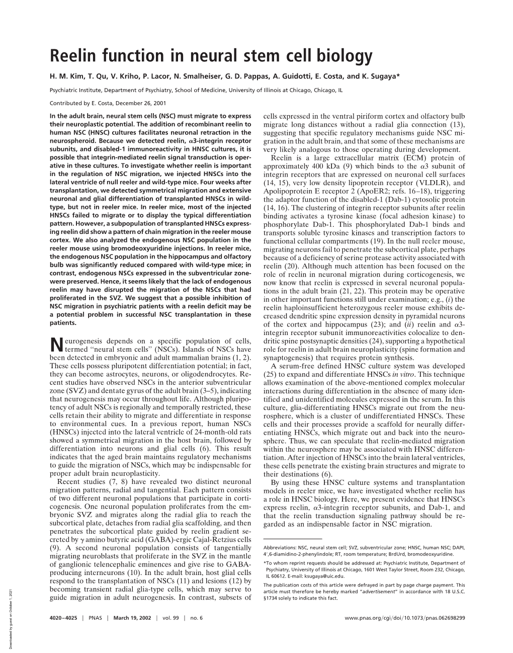 Reelin Function in Neural Stem Cell Biology