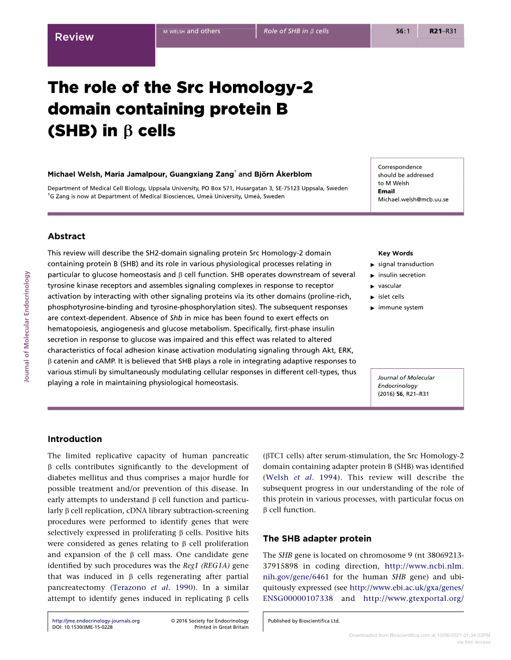 The Role of the Src Homology-2 Domain Containing Protein B (SHB) in B Cells