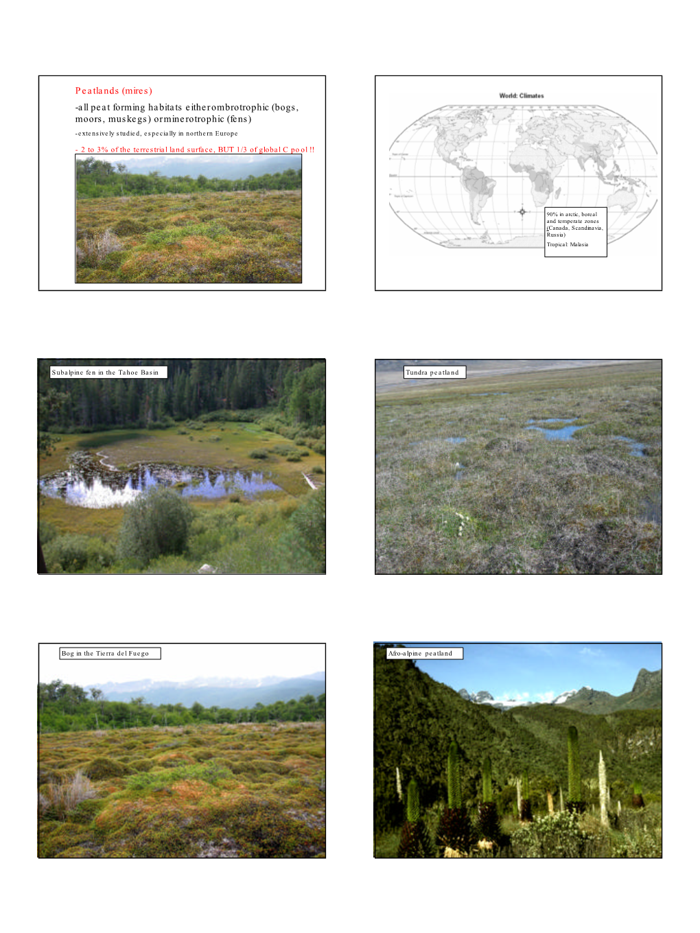 Peatlands (Mires) -All Peat Forming Habitats Eitherombrotrophic (Bogs, Moors, Muskegs) Orminerotrophic (Fens) - Extensively Studied, Especially in Northern Europe