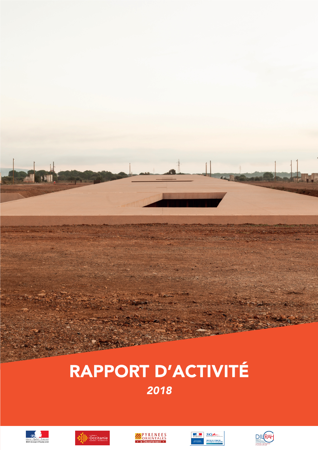 Rapport D'activité