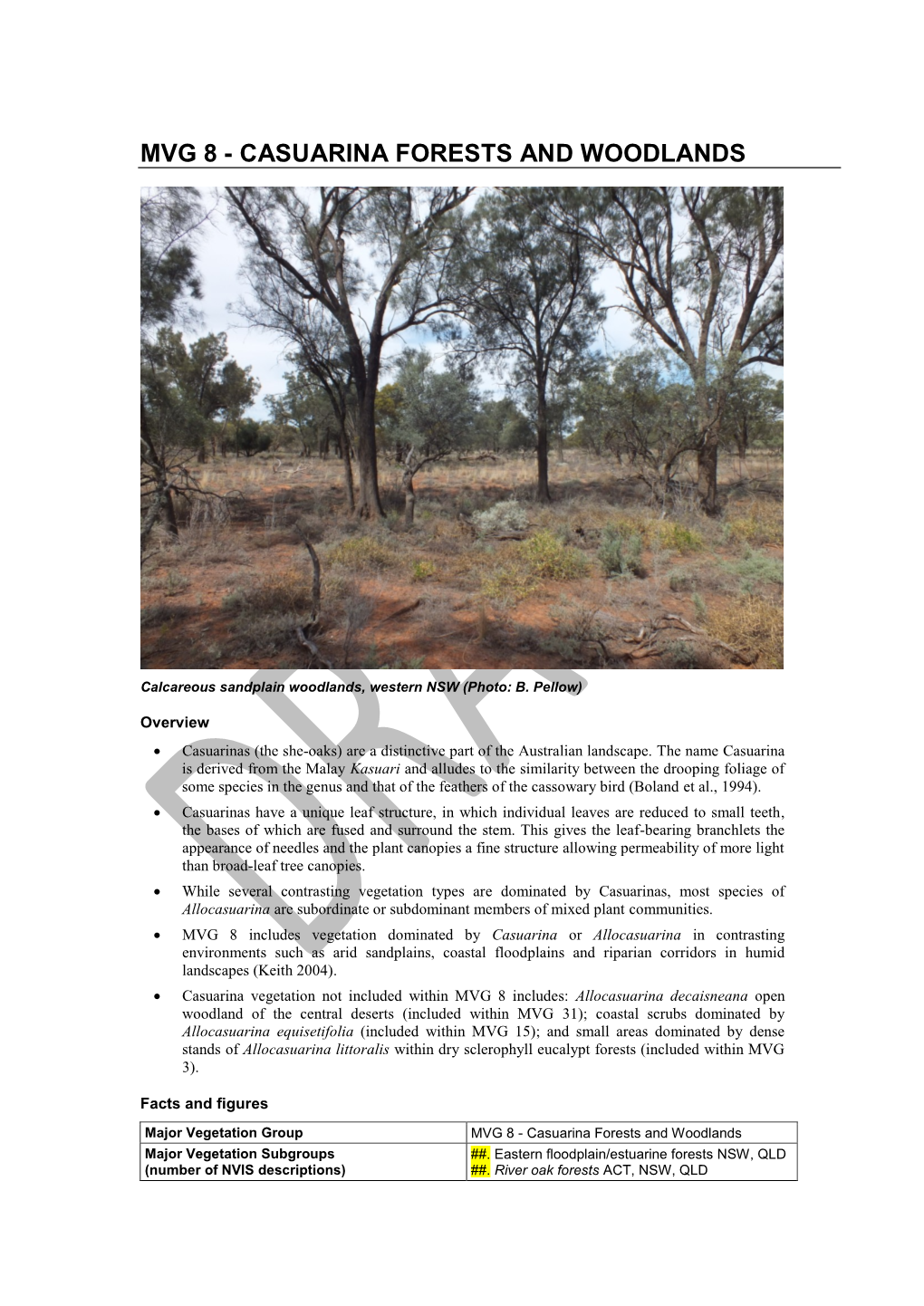MVG 8 Casuarina Forests and Woodlands DRAFT