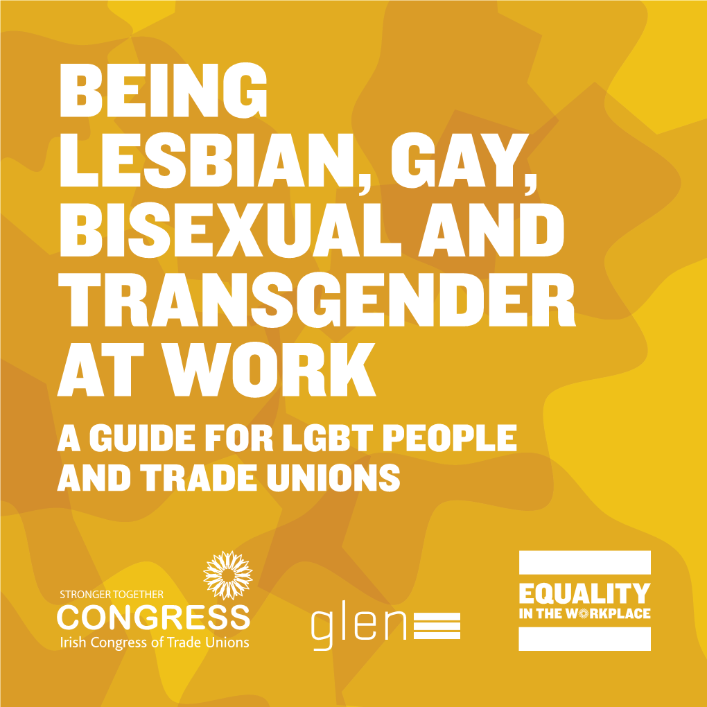 Being Lesbian, Gay, Bisexual and Transgender at Work a Guide for Lgbt People and Trade Unions