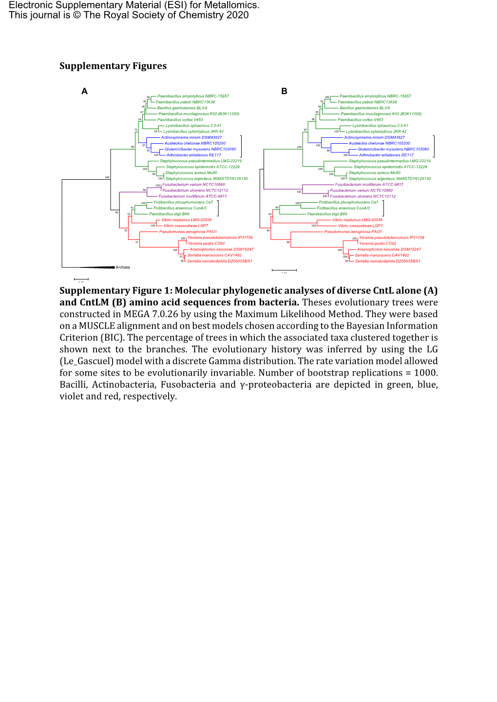 Molecular Phylogenetic Analyses of Diverse Cntl Alone (A) and Cntlm (B) Amino Acid Sequences from Bacteria