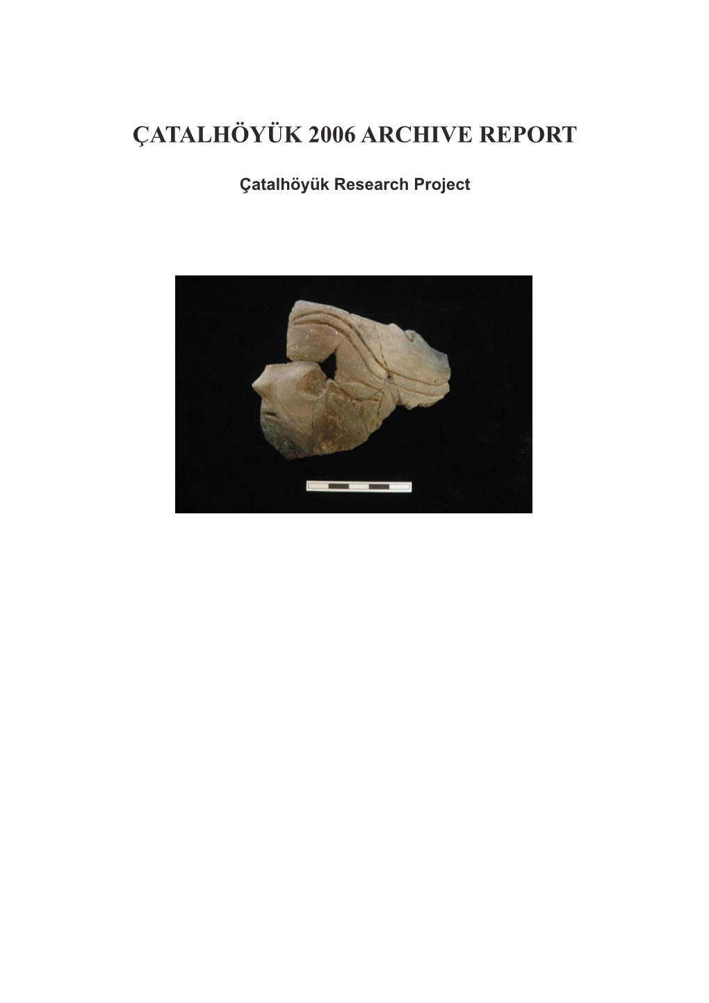 Çatalhöyük 2006 Archive Report