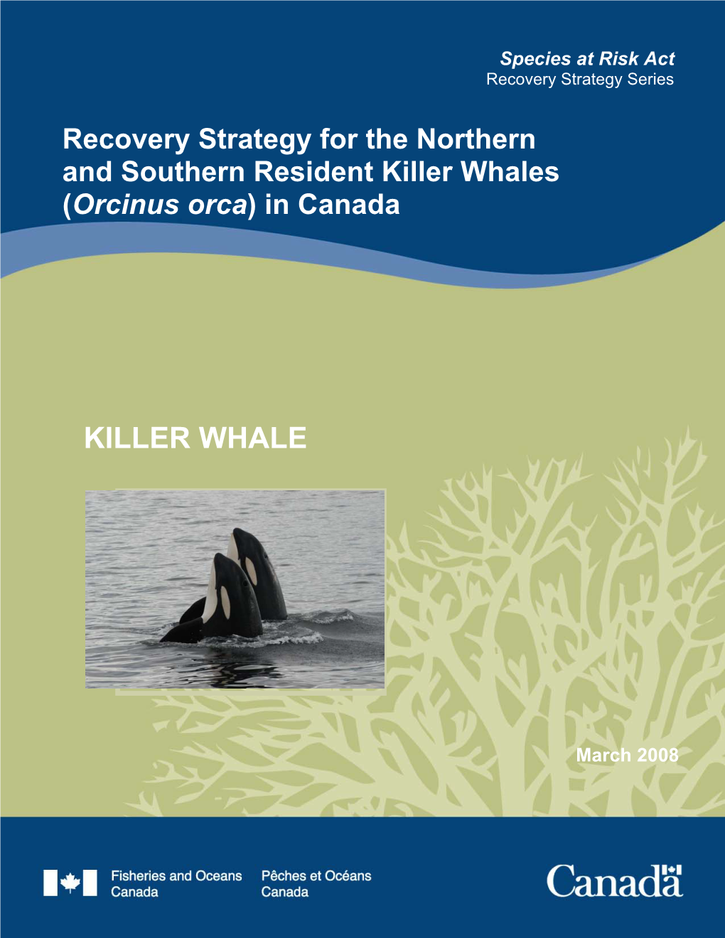 Recovery Strategy for the Northern and Southern Resident Killer Whales (Orcinus Orca) in Canada