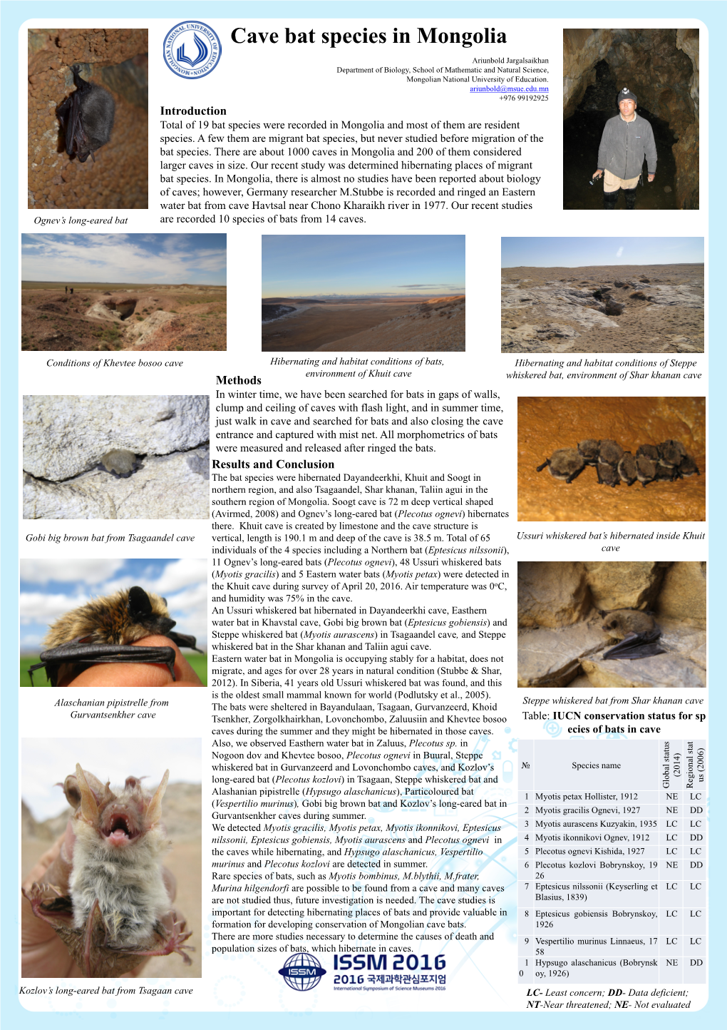 Cave Bat Species in Mongolia