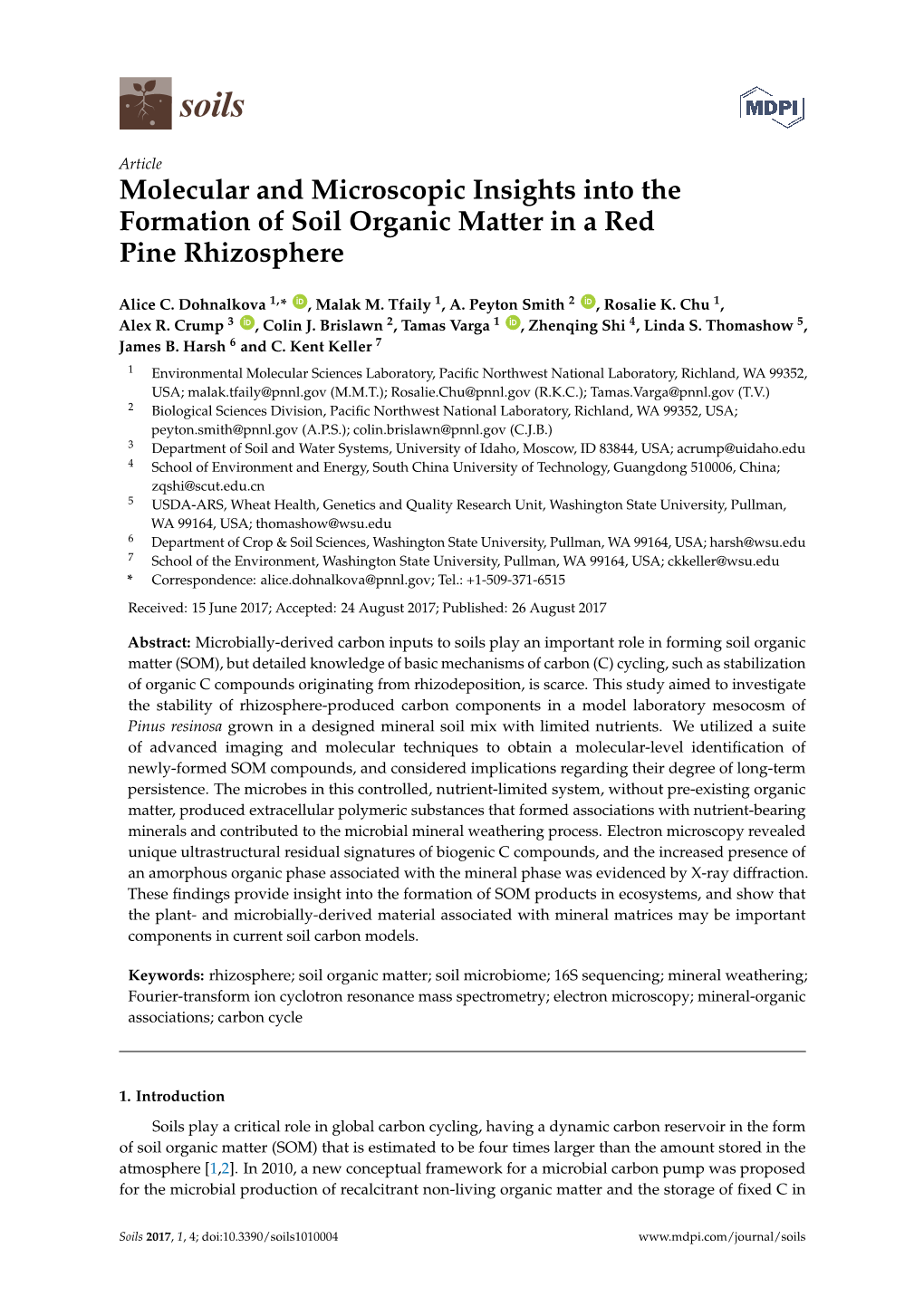 Molecular and Microscopic Insights Into the Formation of Soil Organic Matter in a Red Pine Rhizosphere