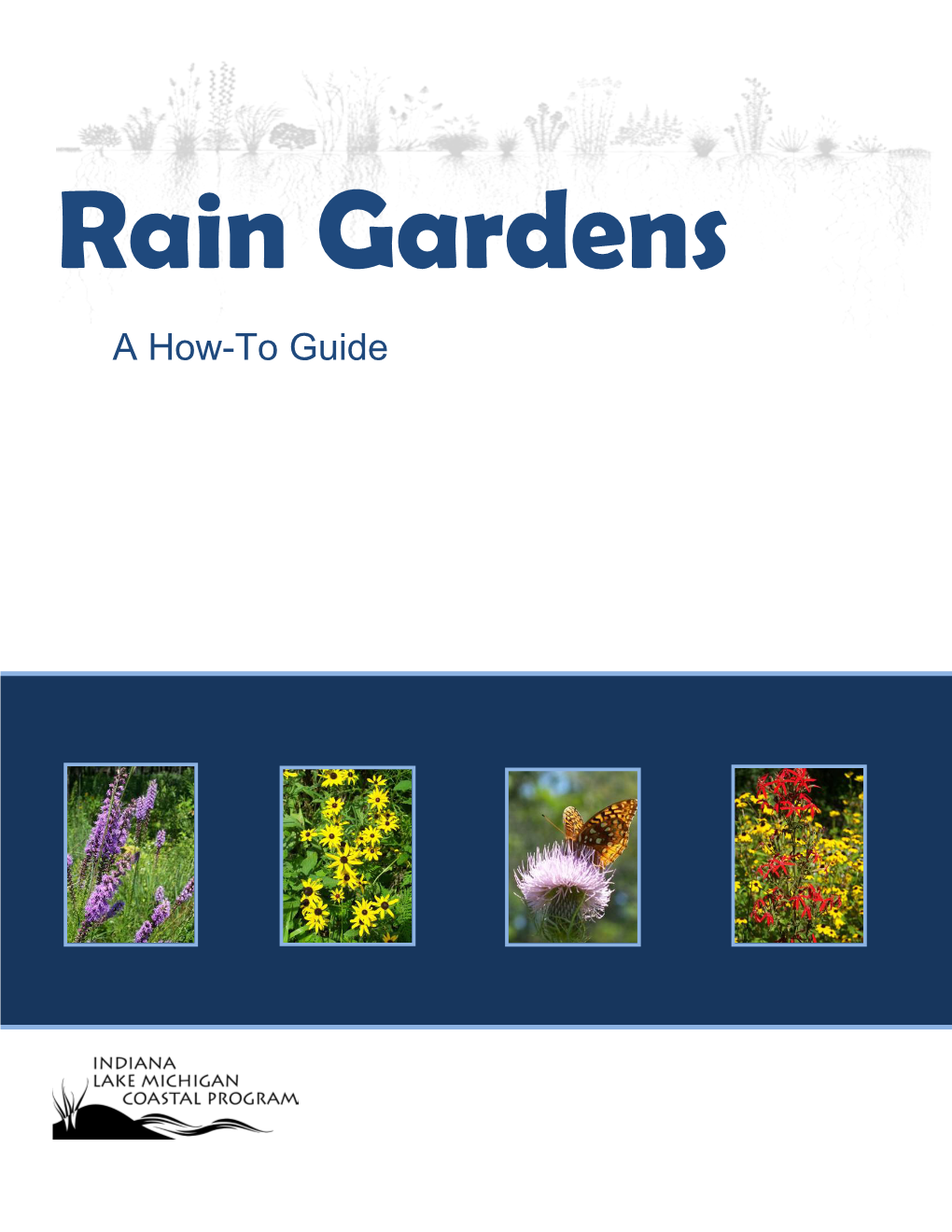 Rain Gardens