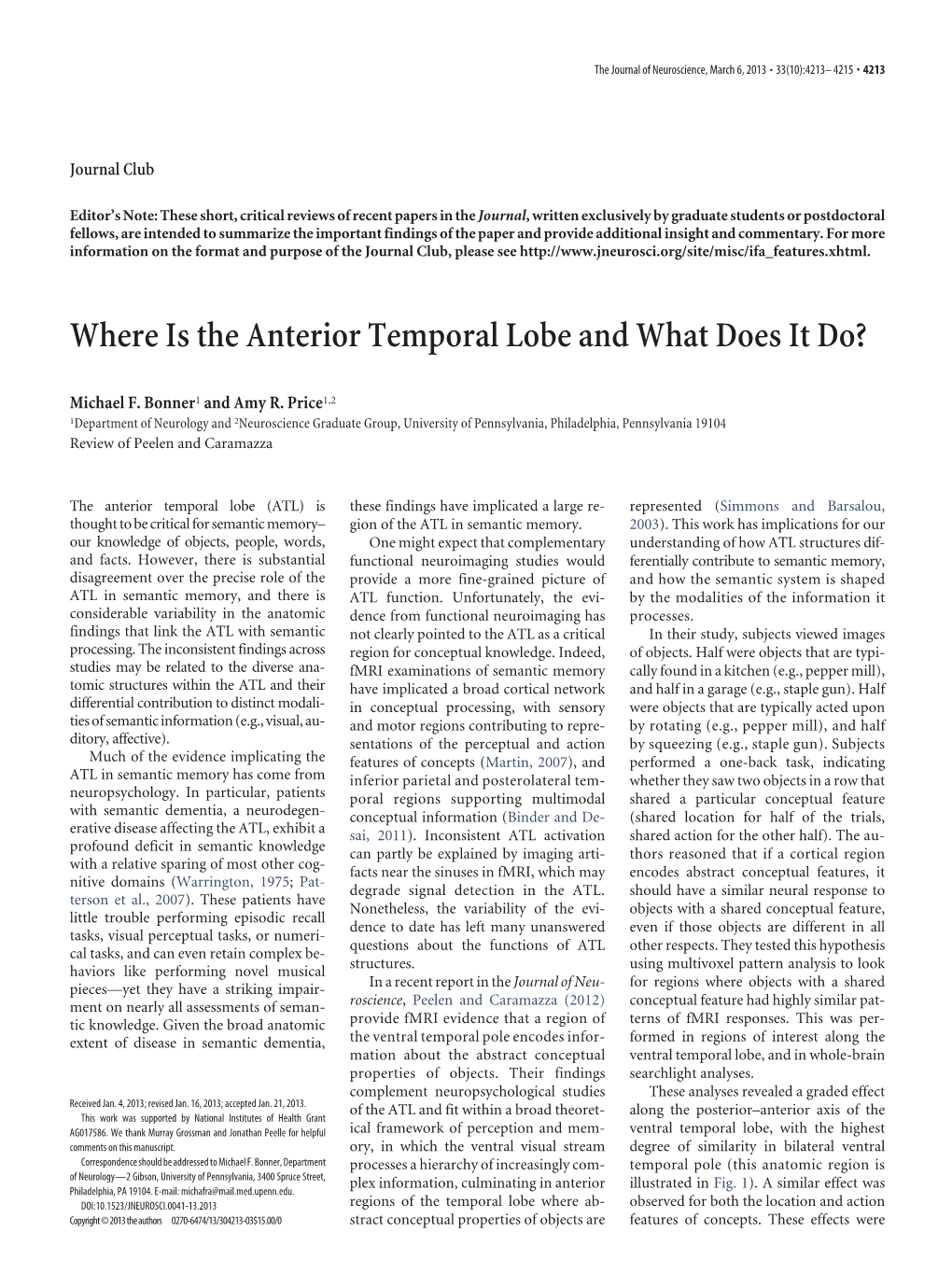 Where Is the Anterior Temporal Lobe and What Does It Do?