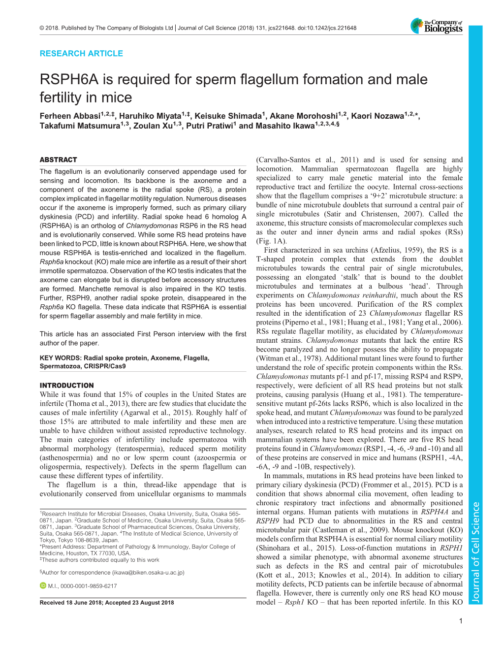 RSPH6A Is Required for Sperm Flagellum Formation and Male