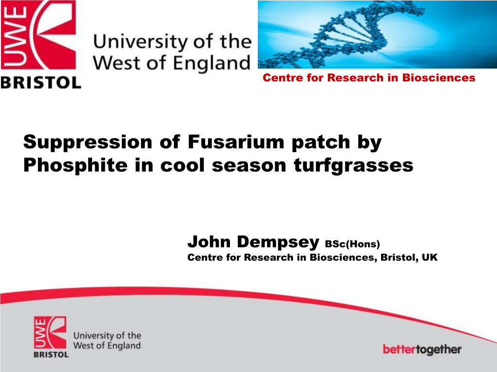 Suppression of Fusarium Patch by Phosphite in Cool Season Turfgrasses