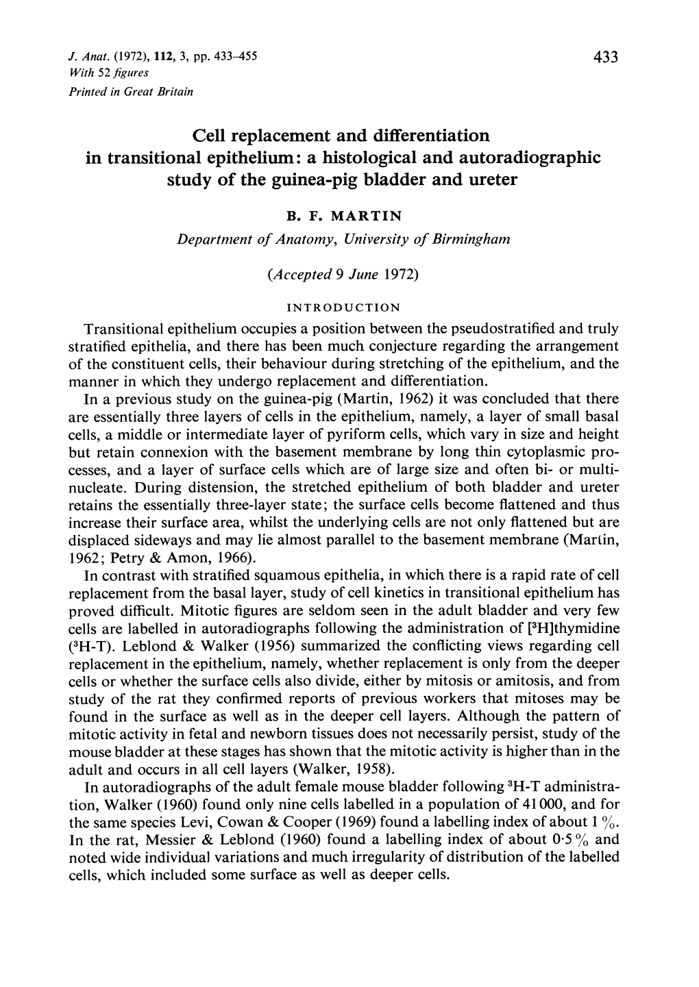 Cell Replacement and Differentiation in Transitional Epithelium: a Histological and Autoradiographic Study of the Guinea-Pig Bladder and Ureter B