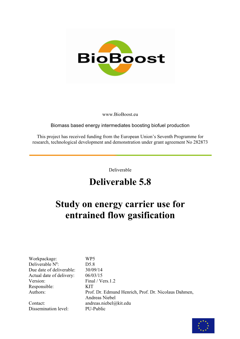 Del 5.8 Study on Energy Carrier Use for Entrained Flow Gasification