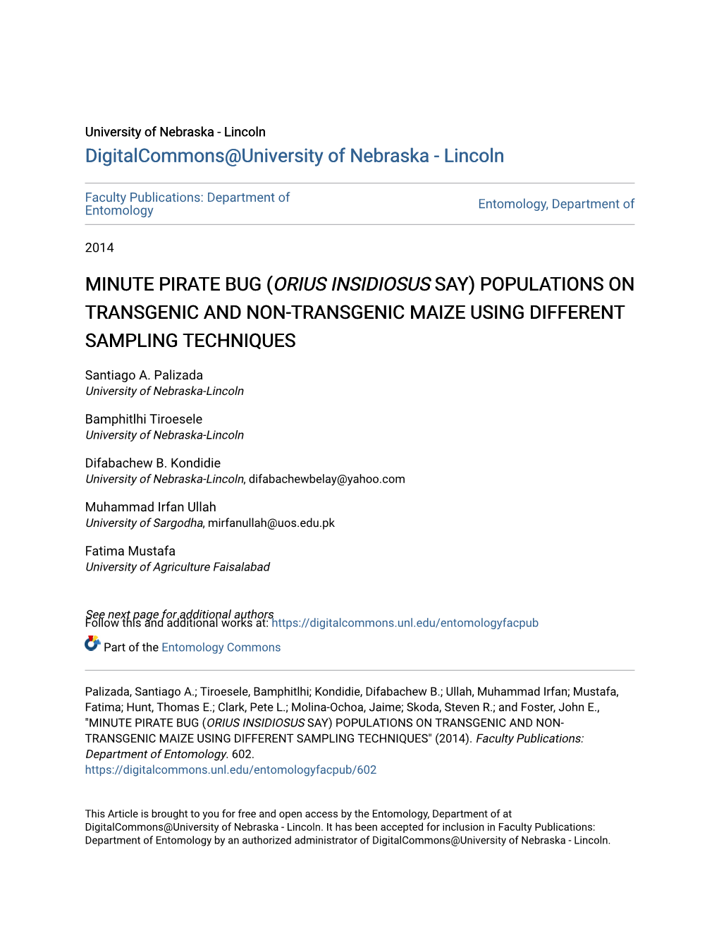 Minute Pirate Bug (Orius Insidiosus Say) Populations on Transgenic and Non-Transgenic Maize Using Different Sampling Techniques