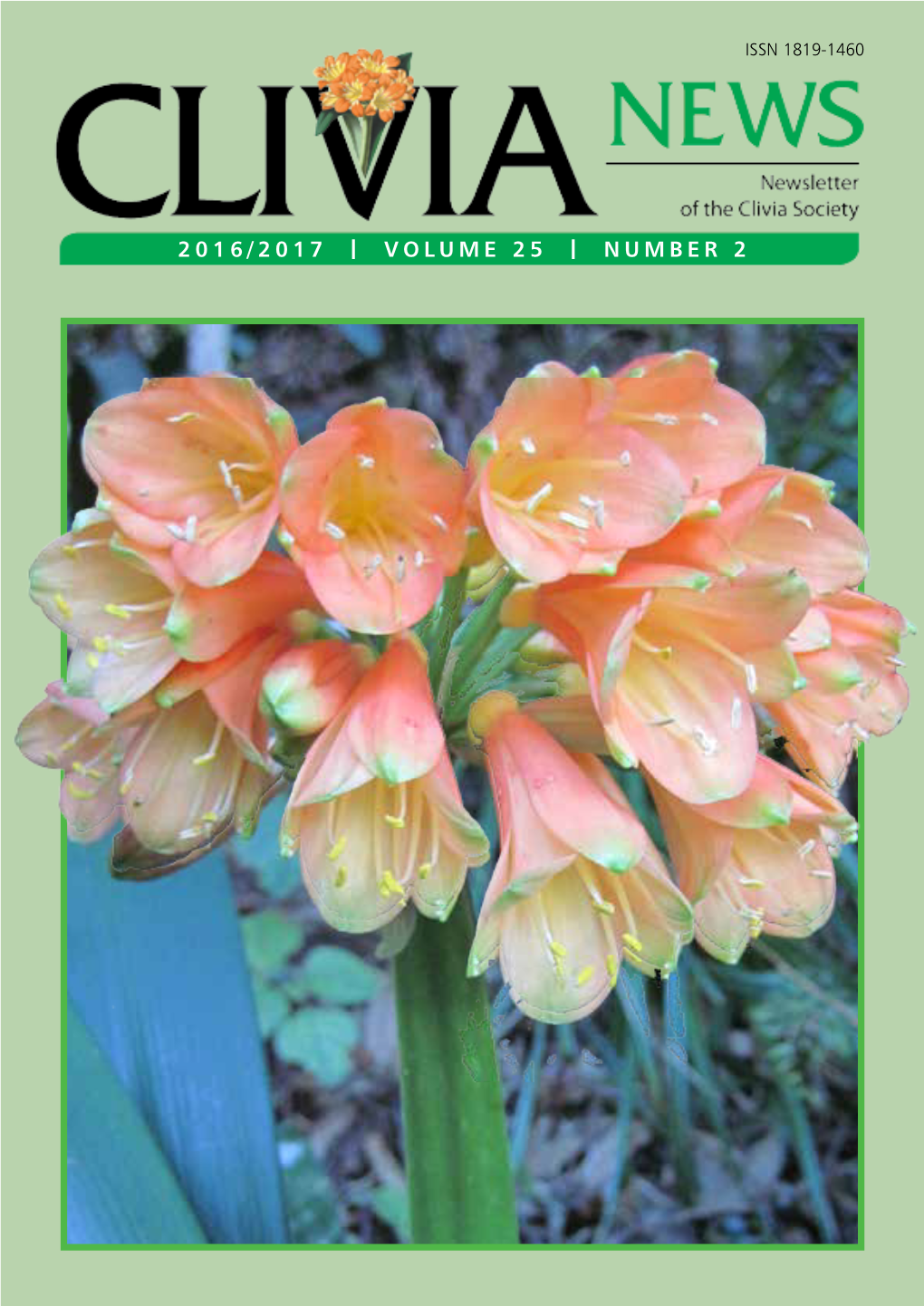 The Clivia Society the Clivia Society Caters for Clivia Enthusiasts Throughout the World