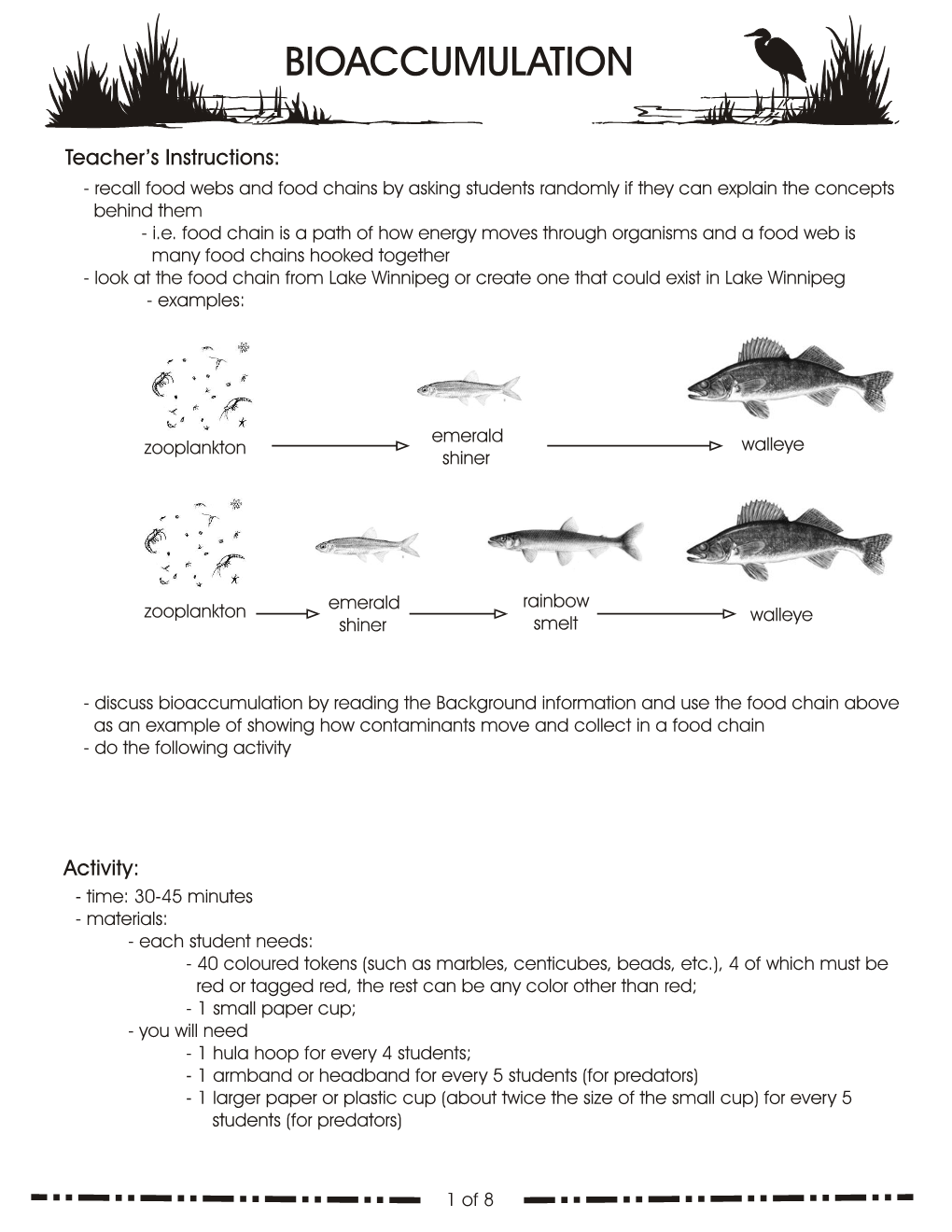 Bioaccumulation