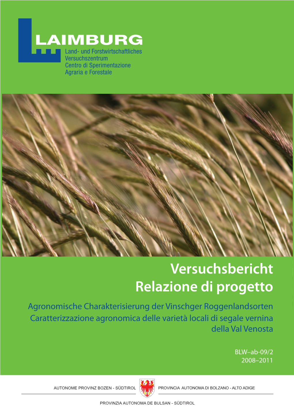 Versuchsbericht Relazione Di Progetto