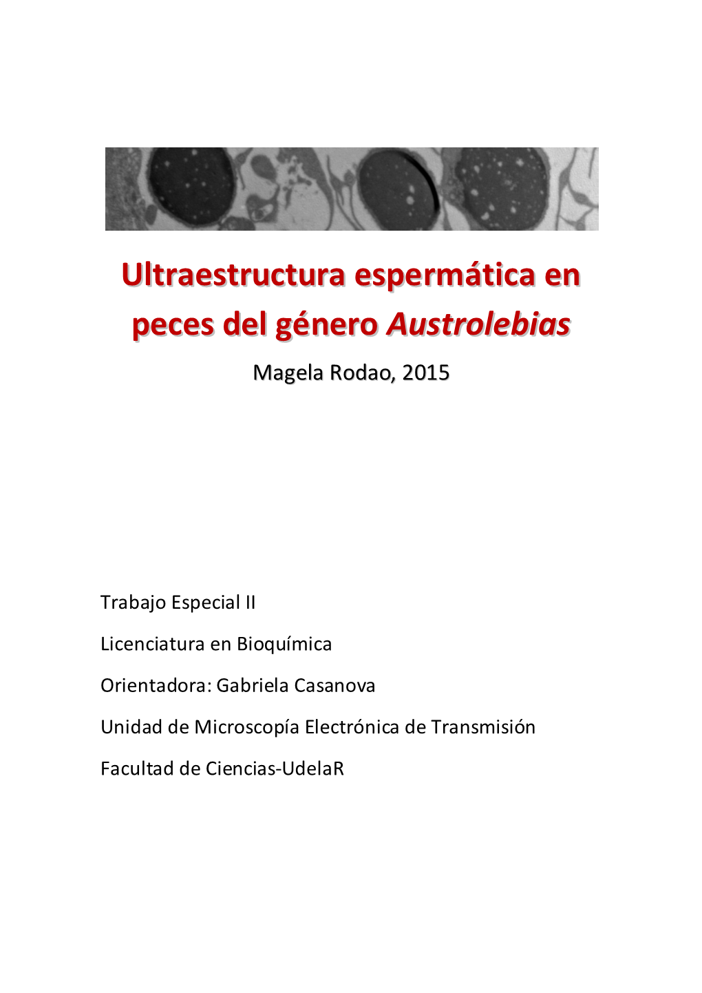 Ultraestructura Espermática En Peces Del Género Austrolebias