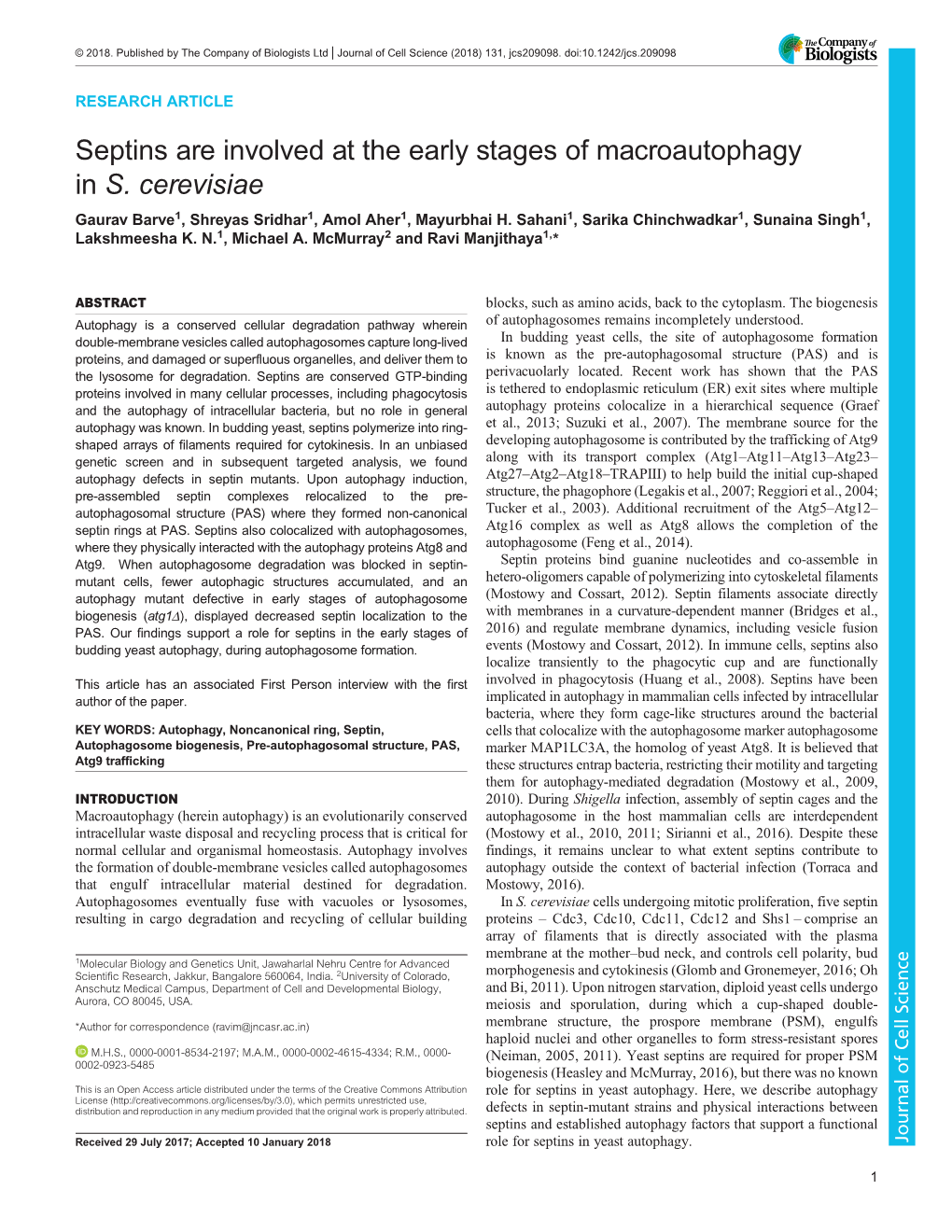 Septins Are Involved at the Early Stages of Macroautophagy in S